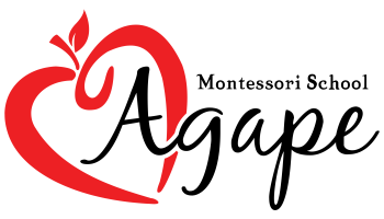 Agape Montessori Training